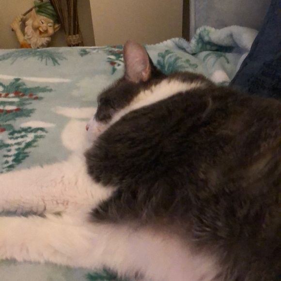 Meet your Posher, Sara - Picture 1 of 1